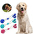 Pet Dog Suction Cup